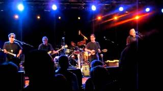 Los Lobos - Yo Canto (Posten, Odense)