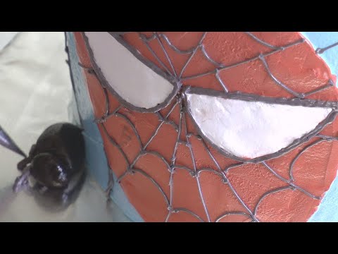 როგორ დაამშვენებს  სპაიდერმენის ტორტი