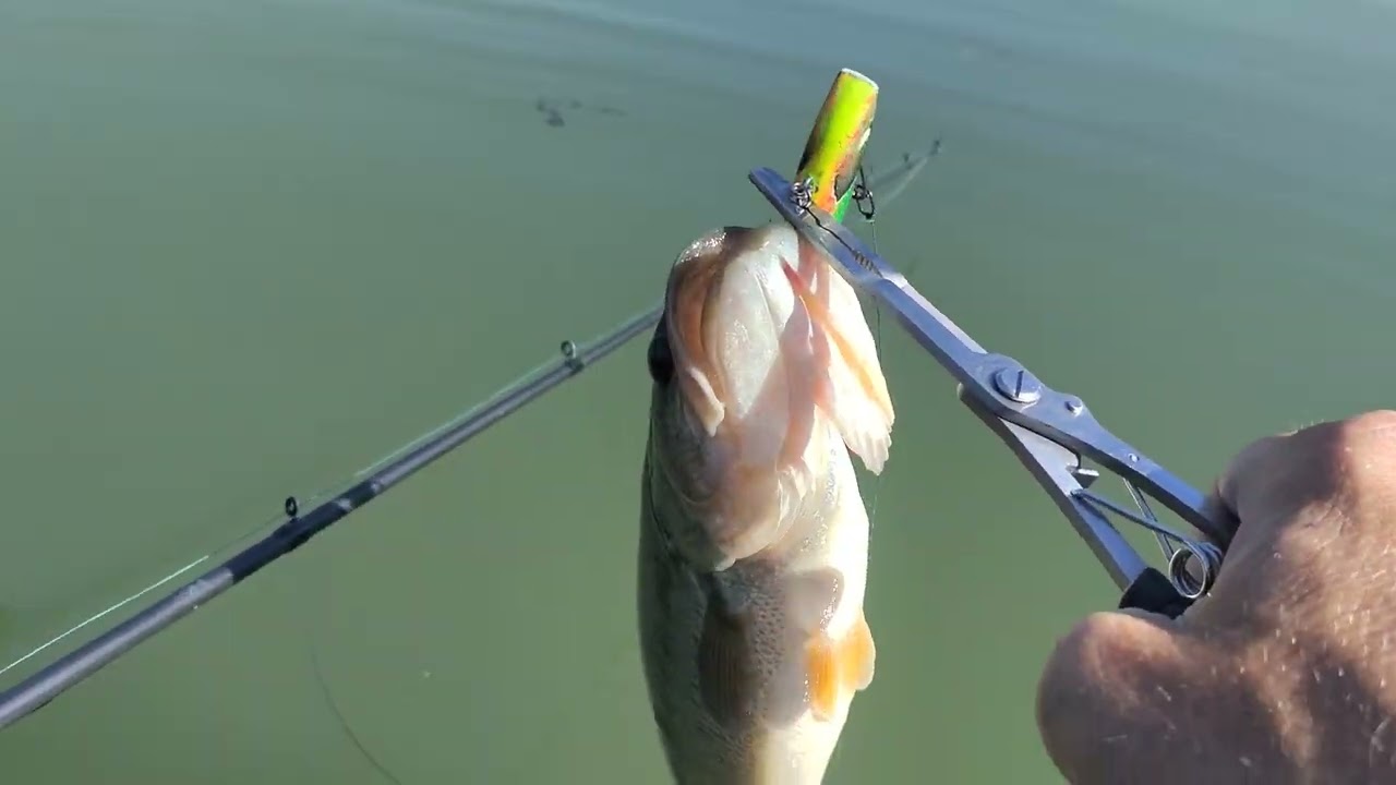Float tube session fish.