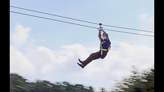 嵐山の絶景駆け抜けるジップライン本格オープン