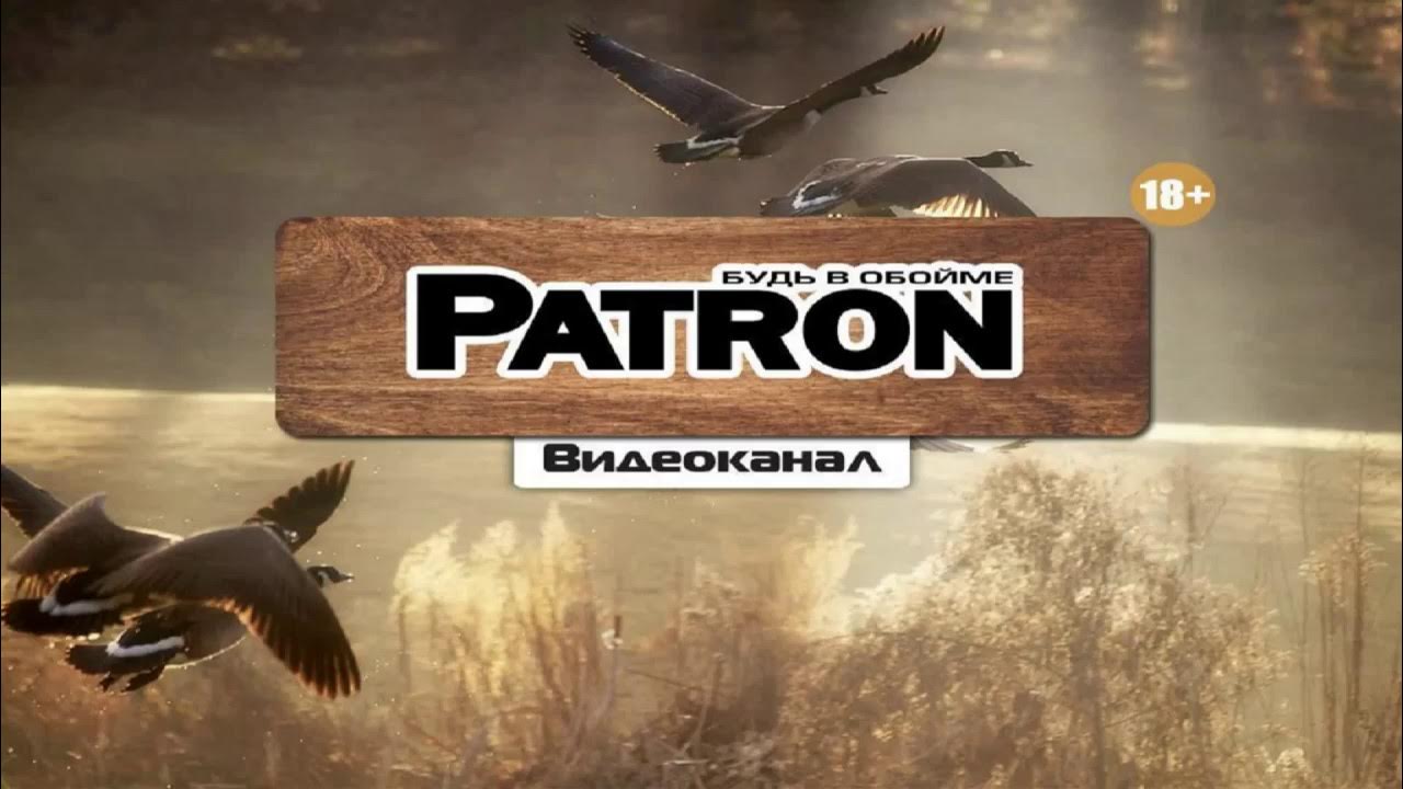 Патрон внутри. Канал патрон. Patron канал. Телеграм канал пуля 18 +. Промежуточный патрон 7.