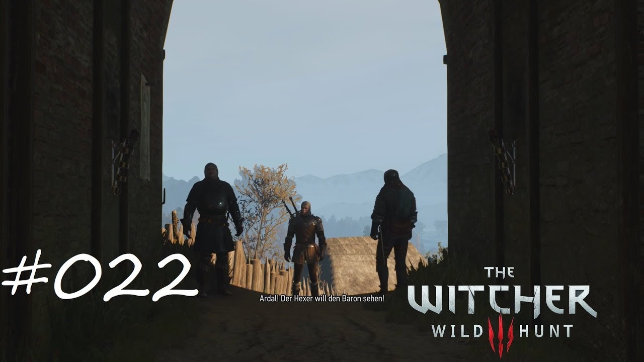 THE WITCHER 3 WILD HUNT 