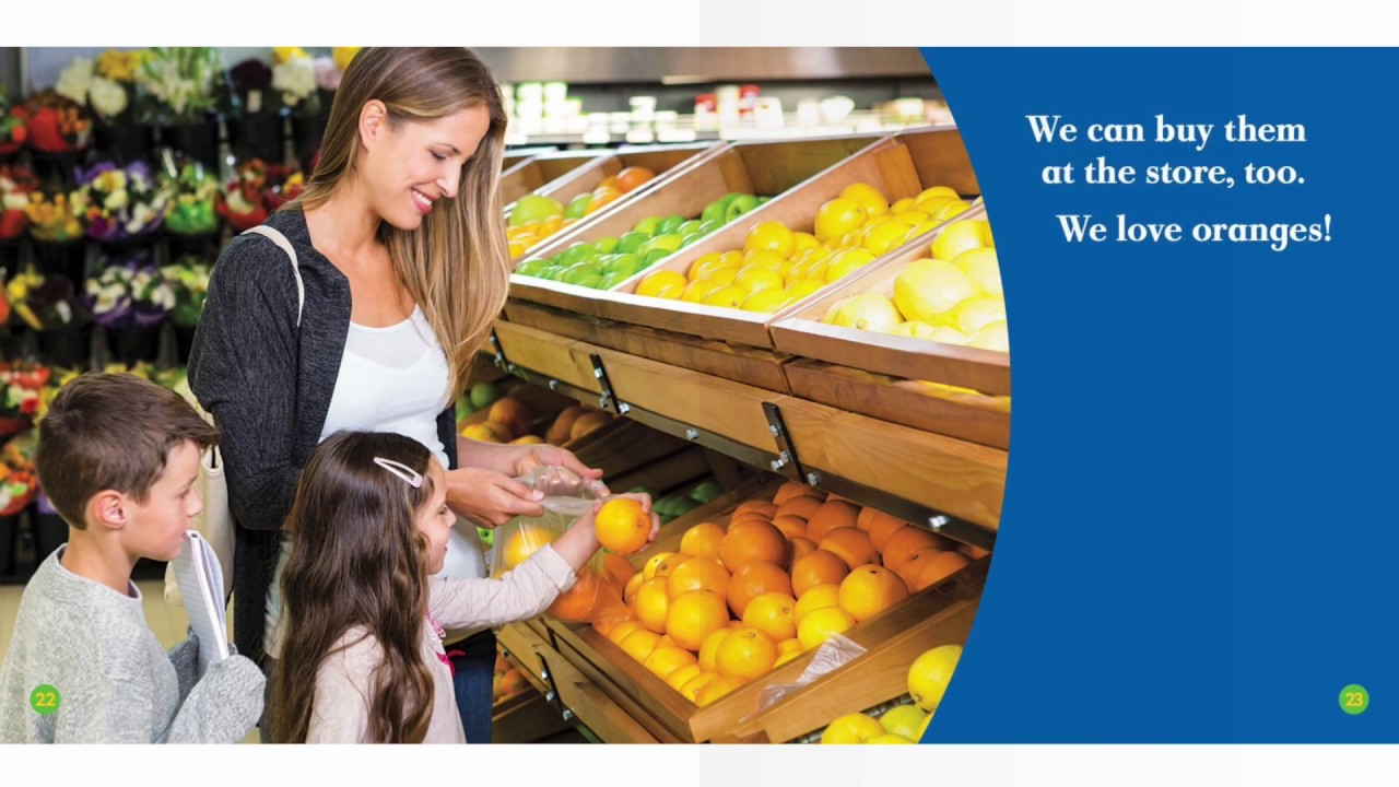 The Life Cycle of an Orange YouTube