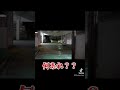 巨大クモをヤンキーに近づけてやった。　#shorts #prank #オードブル #世直し