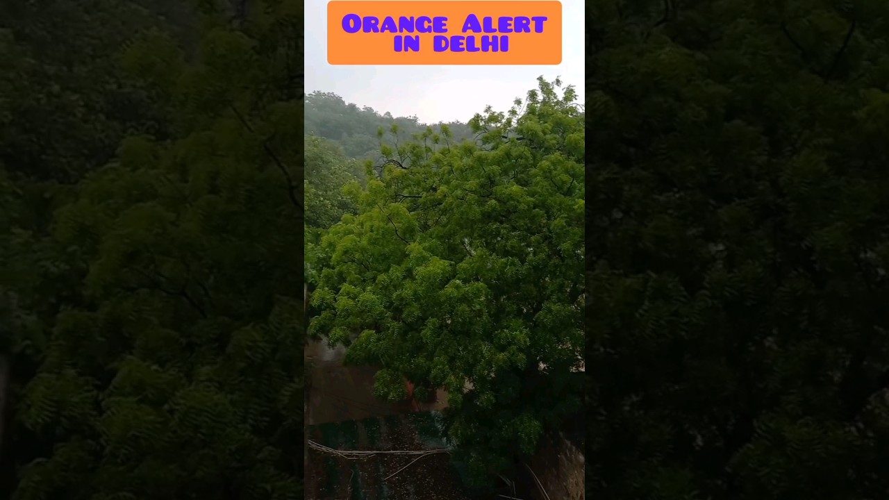 Monsoon: Orange Alert in Delhi