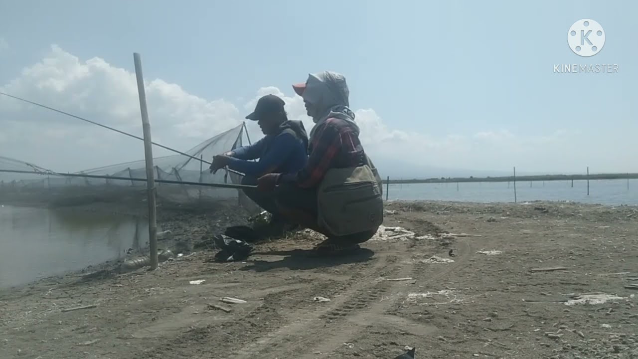 Umpan ikan Mujaer yang tepat