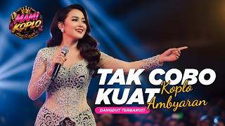  Koplo Ambyaran Nonstop  tak Cobo Kuat