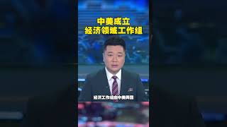 中美成立经济领域工作组 #中美  #美国  #外交