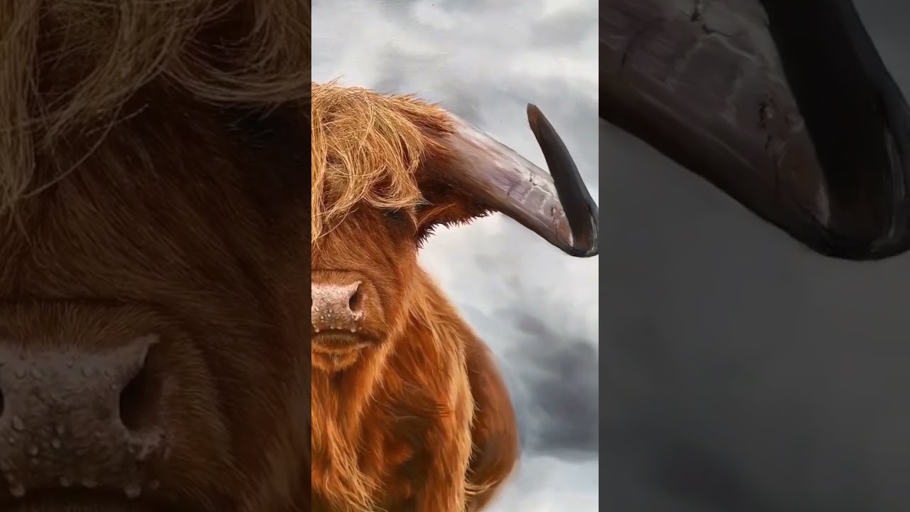 Highland Cow painting ! What do you think? 