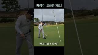 나트랑 KN링크스 CC. 바람이 넣어준 퍼트 나트랑라운딩 골프 골프장 퍼트