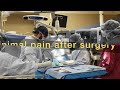 Overview of Spine Augmented Reality Minimally Invasive Spine Surgery presented by Dr. Andrew Fanous