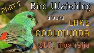 Bird Watching around Lake Coolmunda, QLD Australia  Part II
