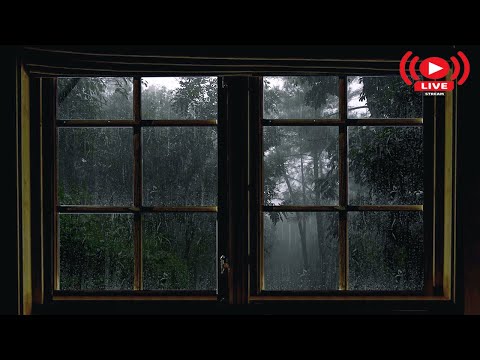 🔴수면 휴식 불면증 공부할때 창문 rain sounds & thunderstorm24/7, 불면증 해소, 깊은 숙면, 휴식, 빗소리 ASMR, 피로를 풀고 빠르게 잠 백색소음