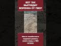 Берегите себя и своих близких!
