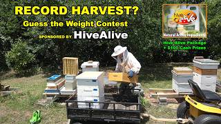 Record Honey Harvest? Guess the Weight and Win!