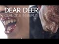 Dear deer  claudine in berlin official