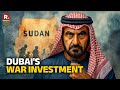 Uncovering the Hidden Battle: Why the UAE Is Secretly Fighting in Sudan 🇸🇩
