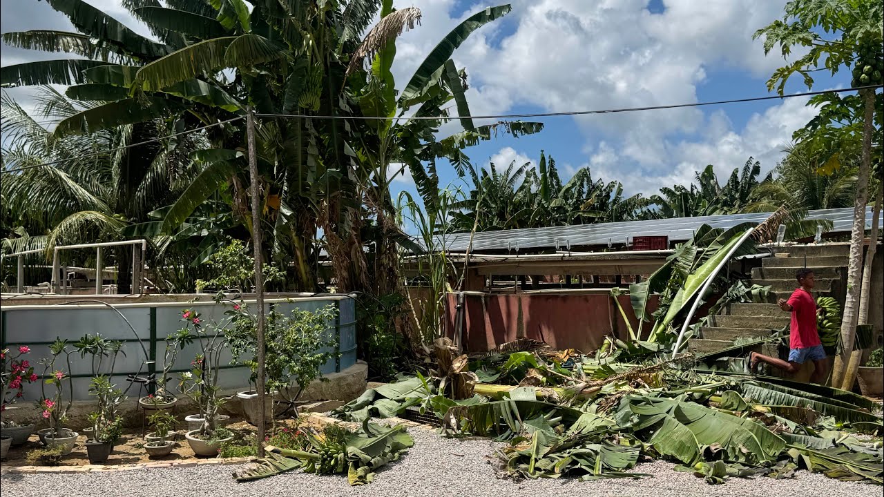 VAMOS DESTRUIR O NOSSO PROJETO, ENTENDA O QUE ACONTECEU