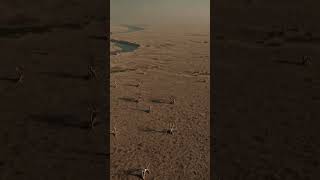 Pharaoh Repents For Betraying Moses