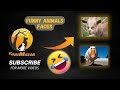If Animals Had Eyes At The Front 👀 😅|2022 Funny Animal Faces Compilation| Funimalia