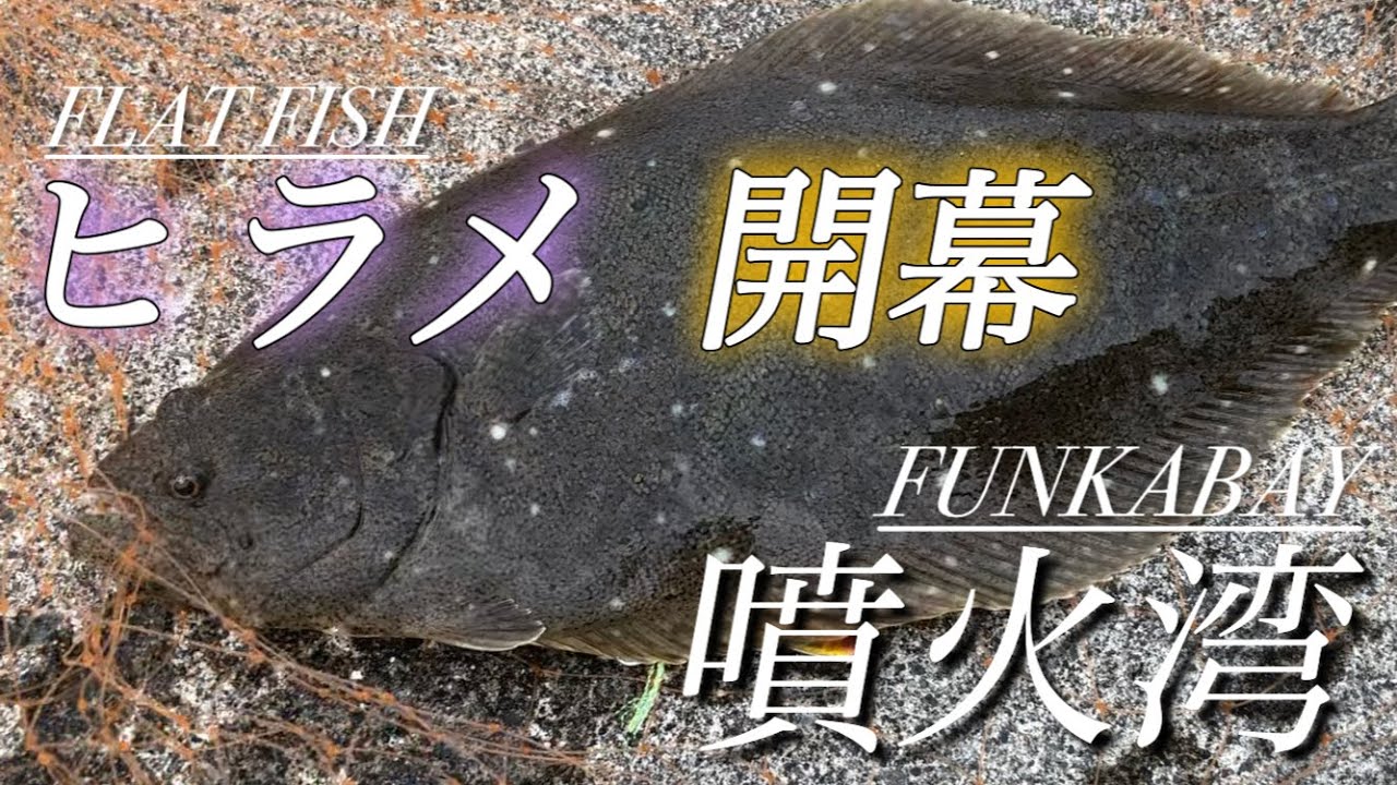 噴火湾ヒラメ開幕！思いのほか好反応！