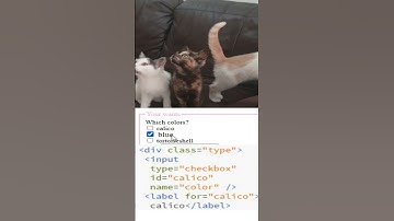 HTML form input checkbox