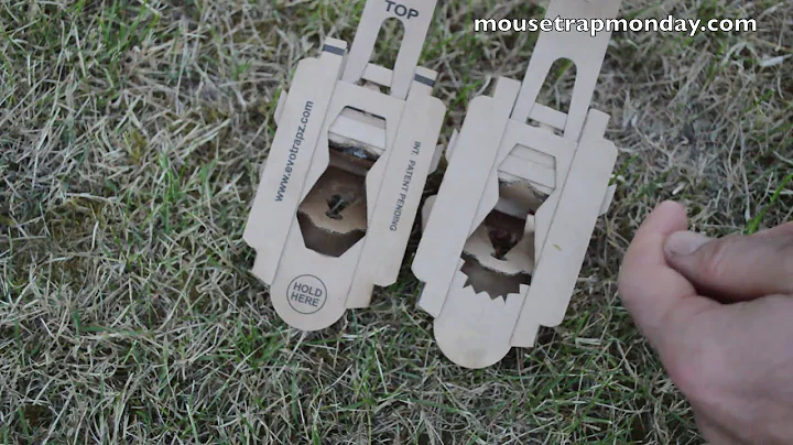 A 2nd Look At the Evo Trapz Cardboard Mousetrap (N...