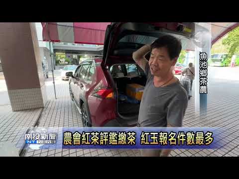 魚池農會紅茶評鑑收茶 南投新聞