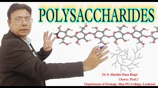 POLYSACCHARIDES || TYPES OF POLYSACCHARIDES || BIOMOLECULES SERIES