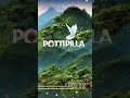 #pottipilla #love #status #nameart #trend #trending #shorts #viral #youtubeshorts