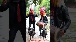 Saree Wali Bakri Ka Dance, Bhainson Ka Thumka Murge Dhol Pe Dhamaal