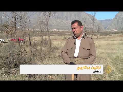 قطع الأشجار يهدد البيئة بكردستان العراق