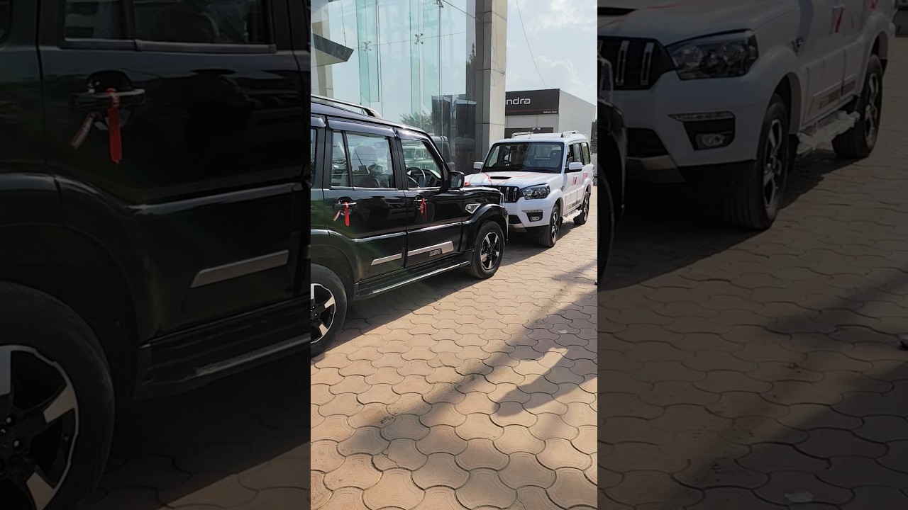 😍 Scorpio S11 Classic Black vs White 😎 Which One Your Choice 