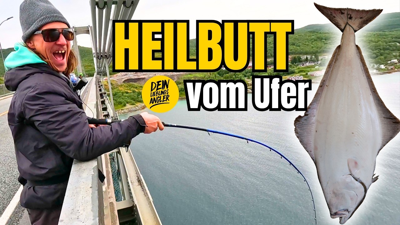 ANGELN in NORWEGEN auf HEILBUTT vom Ufer - Das glaubt keiner!