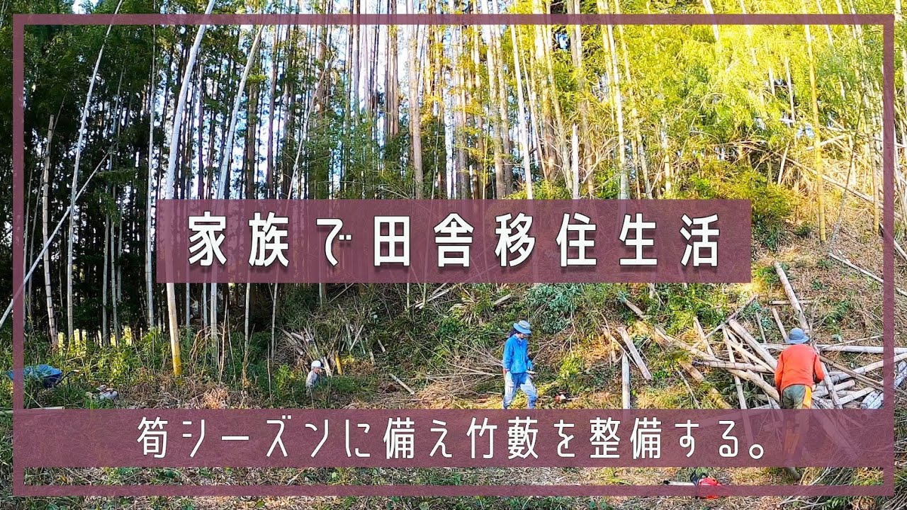 【家族で田舎移住生活】筍シーズンに備えて竹藪整備！！| タケノコ | 山整備 | 裏山 | 竹藪 | 田舎暮らしDIY  | 宮崎 | えびの