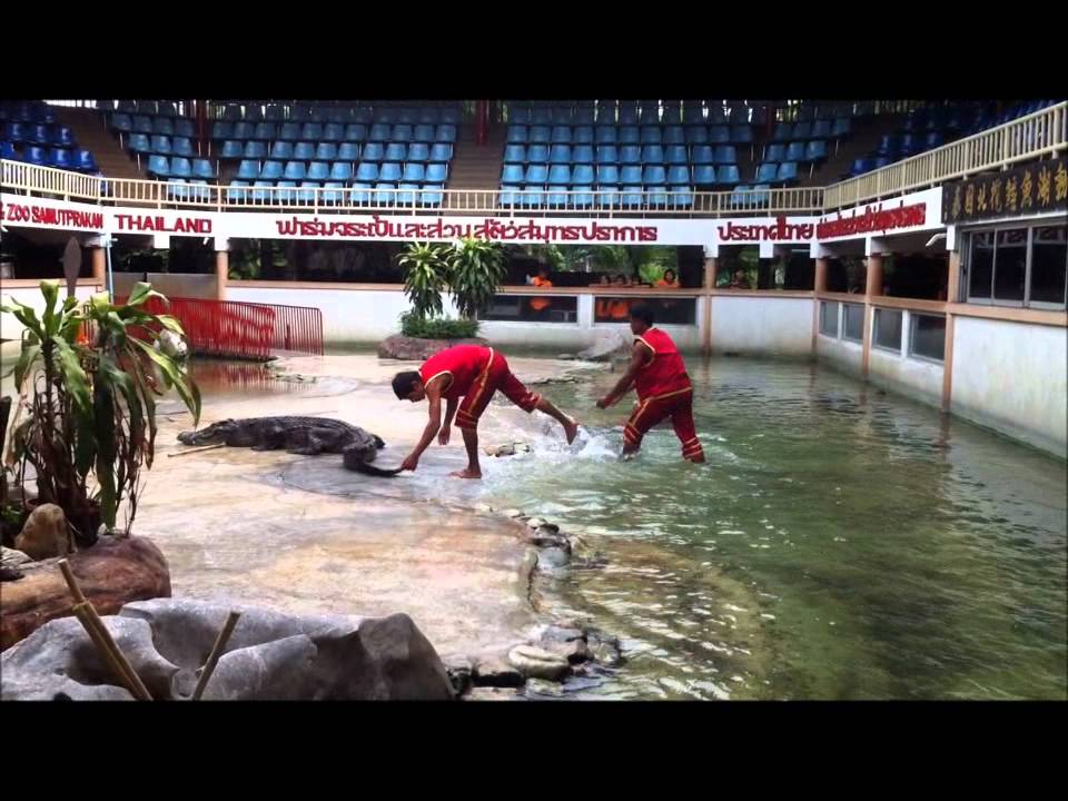 泰国北榄鳄鱼湖 07 07 201202