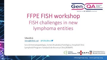 FFPE FISH Workshop 2024: 6 FISH challenges in new lymphoma entities