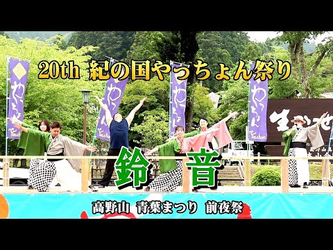 鈴音 / 20th 紀の国やっちょん祭り / 高野山青葉まつり前夜祭(金剛峯寺前演舞場)