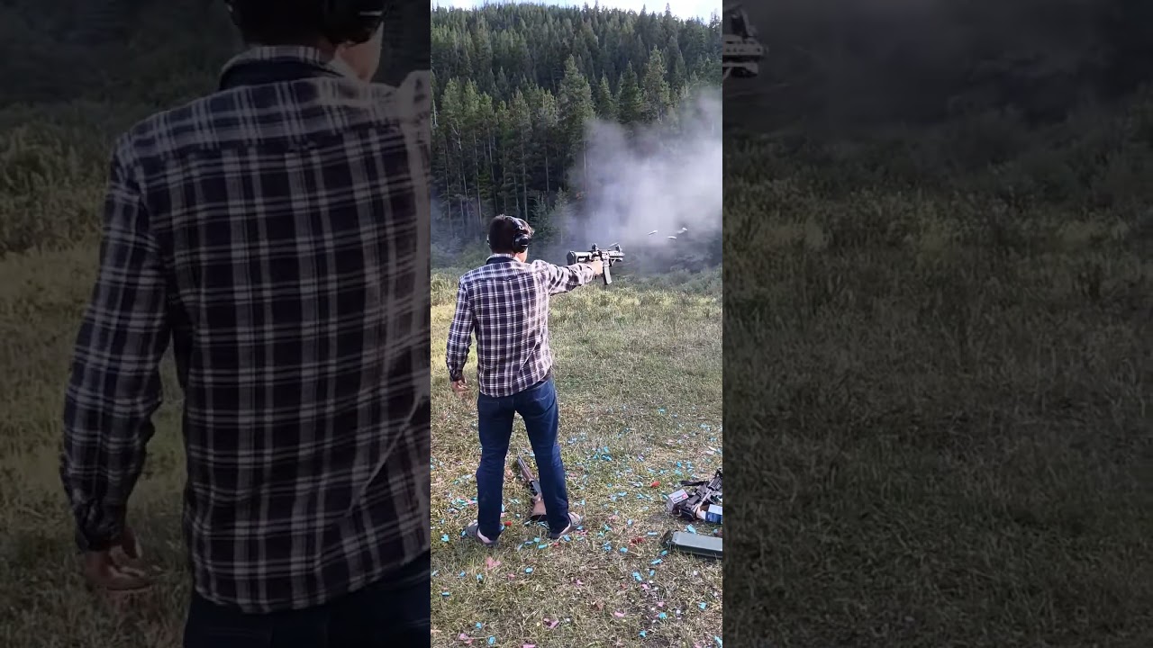 Forced reset trigger out of an AR-15