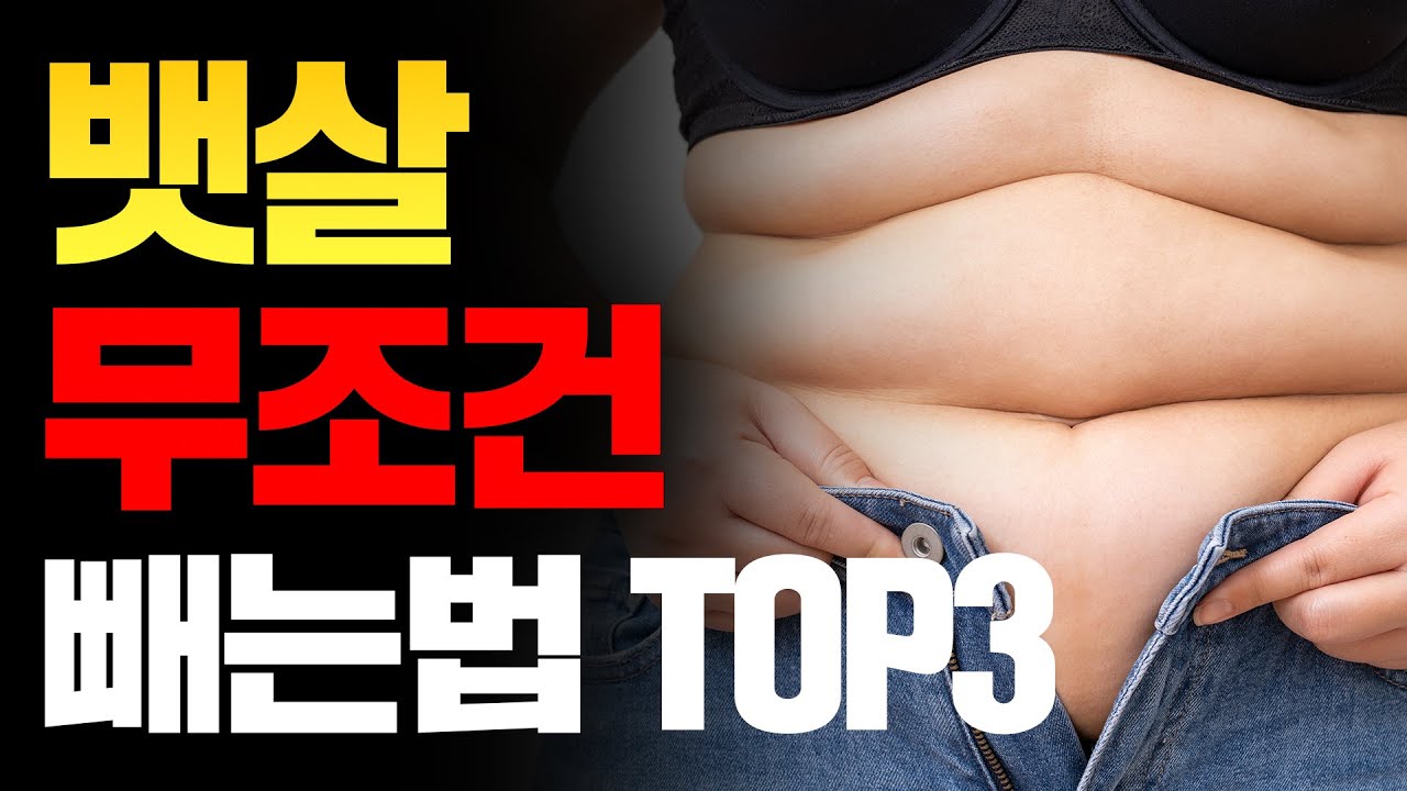 【운동이론】 뱃살&내장지방 과학적으로 태우는 심박수+운동강도+운동루틴