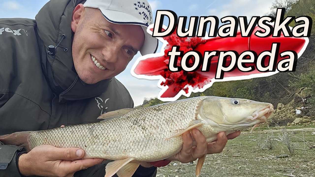 Feeder pecanje mrene i sljivara, Dunav-Surduk