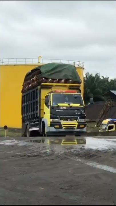 story wa truk canter Sam Cahyo muat sawet edisi edit kedip lampu yg virall di tik tok #shorts