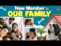 New Member in Our Family | Preethi Sanjiv