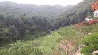 용문산야생화마을 (2013년 07월)