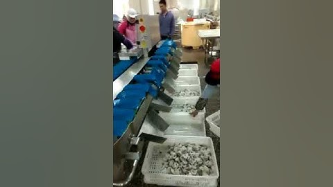 Rotating Trays Weight Grader--Grading Fillet