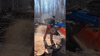 564XP vs Echo 620P Head to Head! Pro Grade Saw Shootout!