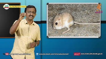 KITE VICTERS Plus Two Botany Class 37 (First Bell-ഫസ്റ്റ് ബെല്‍)