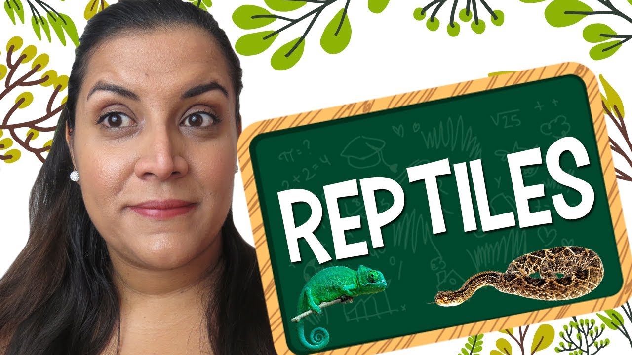 Aprende en Inglés: Vocabulario sobre Reptiles