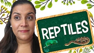 Aprende en Inglés: Vocabulario sobre Reptiles
