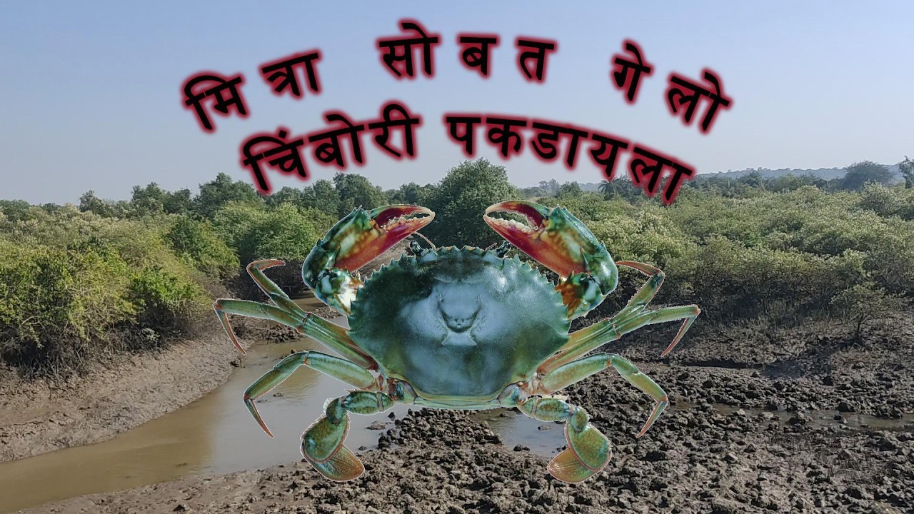मित्रा सोबत गेलो चिंबोरी पकडायला...🦀🦀🦀 #fishing  #crab  #fishingvideo